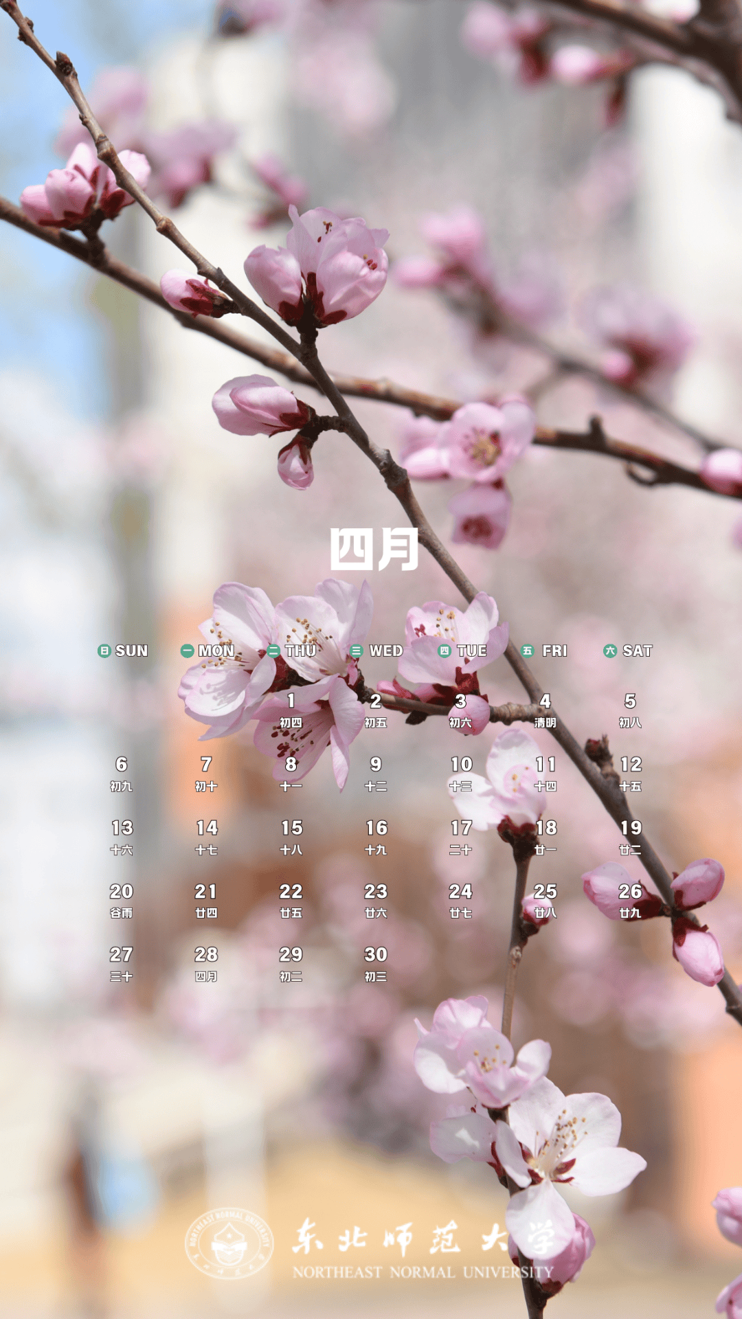 2025年日历桌面壁纸(2025年日历桌面壁纸电脑)